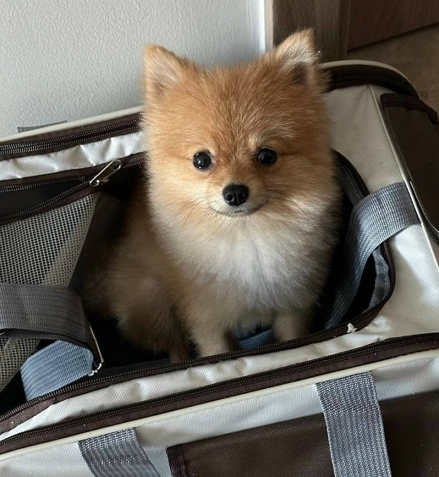 Евгения Хорошева: Будем интриговать до последнего