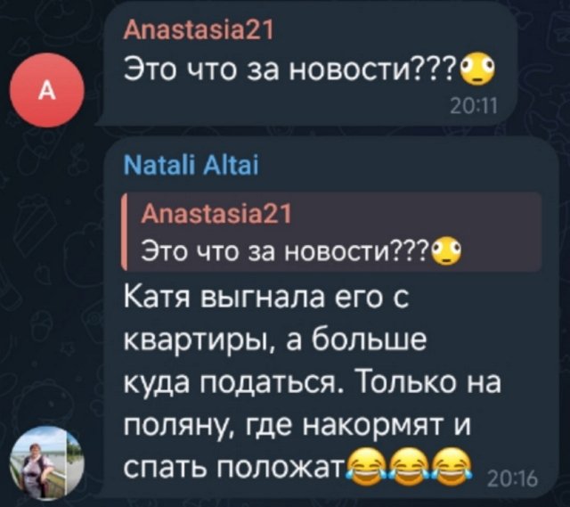 Новости от Кота Баюна (15.04.2026) Новости от Кота Баюна (15.04.2026)