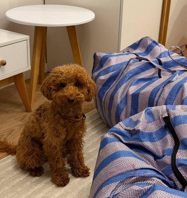 Екатерина Квашникова: Я задала себе вопрос...