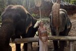 Елена Тепловодская не знает, куда ей дальше двигаться