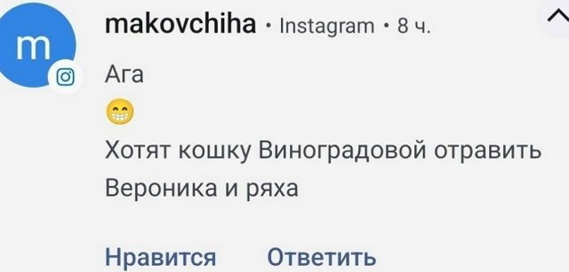 Дарья Виноградова: По поводу моей кошки
