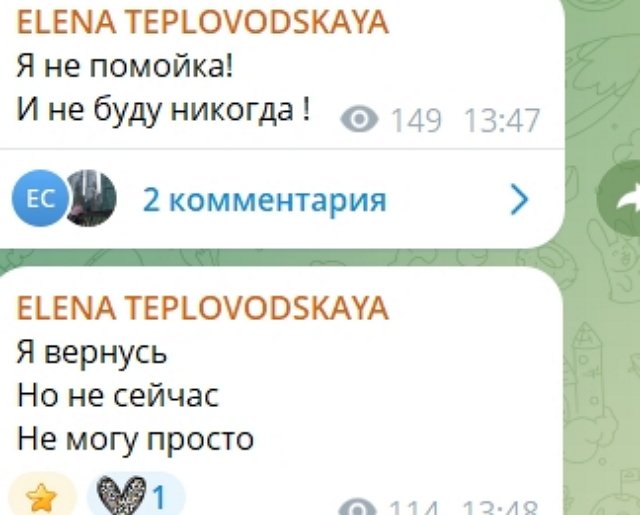Елена Тепловодская: Меня смешали с грязью