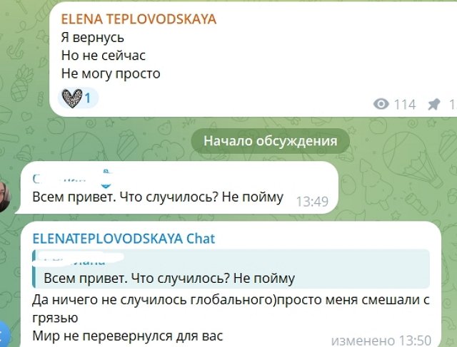 Елена Тепловодская: Меня смешали с грязью