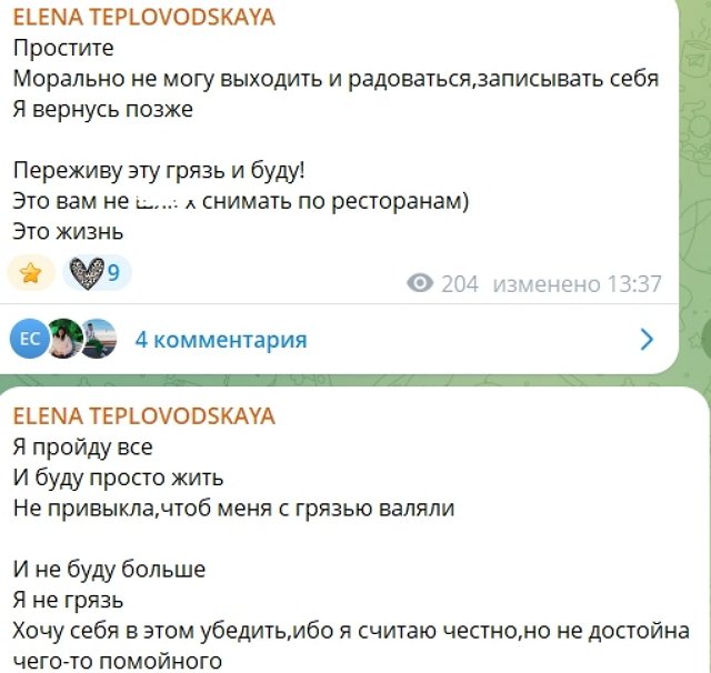 Елена Тепловодская: Меня смешали с грязью