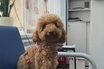 Катя Квашникова: Будем лечиться