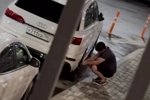 Юлия Ефременкова: Правда она одна!