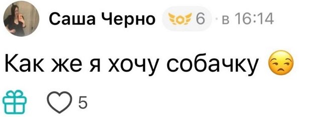 Александра Черно: Меня возбуждают деньги