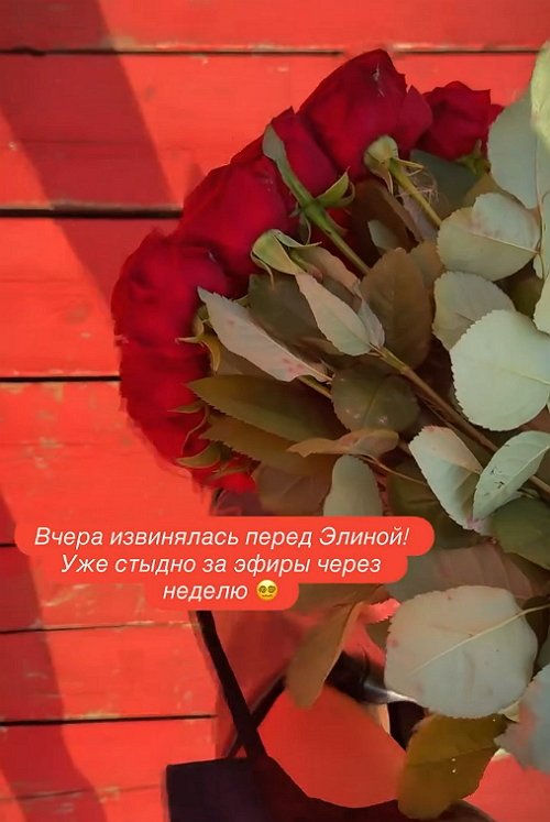 Анастасия Ромашова извинилась перед Элиной Рахимовой