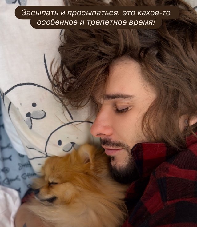 Евгения Ромашов влюбился в собаку Хорошевых