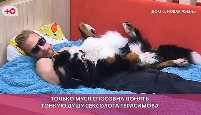 Психолог Иванна Еремия нелестно отозвалась о Герасимове