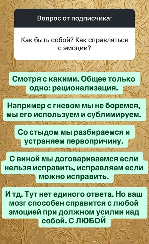 Влад Кадони: Твой дом - продолжение тебя Влад Кадони: Твой дом - продолжение тебя