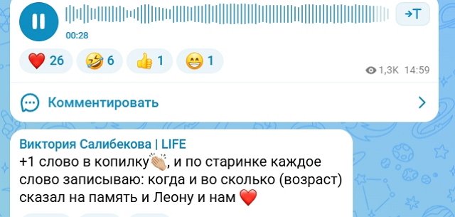 Виктория Салибекова ведёт счёт словам, которые говорит Леон Виктория Салибекова ведёт счёт словам, которые говорит Леон